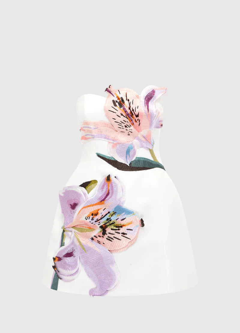 Rosario Applique Floral Bustier Mini Dress – Own Every Eye and Ignite Pure Desire