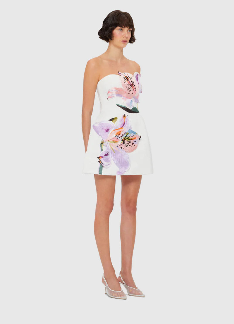 Rosario Applique Floral Bustier Mini Dress – Own Every Eye and Ignite Pure Desire