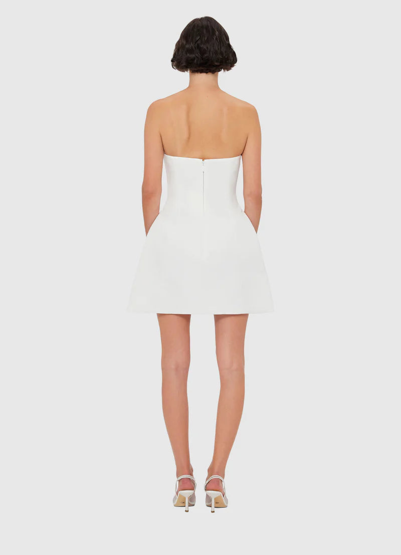 Rosario Applique Floral Bustier Mini Dress – Own Every Eye and Ignite Pure Desire