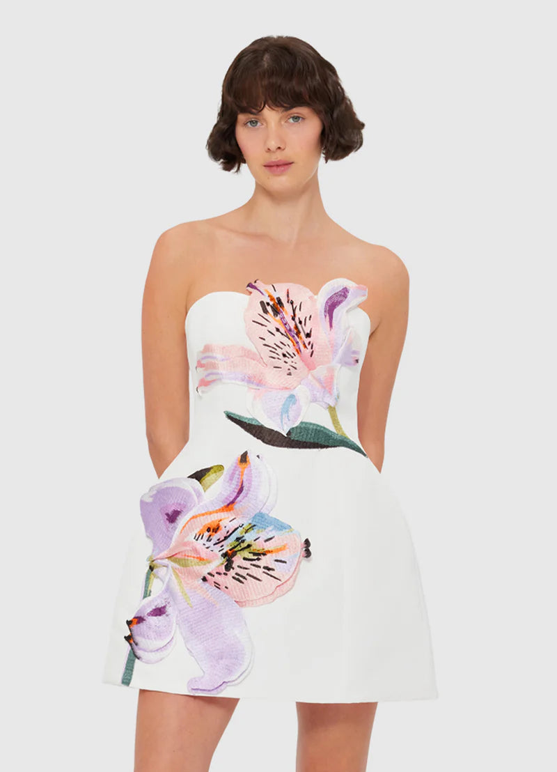 Rosario Applique Floral Bustier Mini Dress – Own Every Eye and Ignite Pure Desire