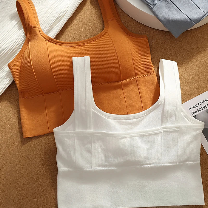 Elara Motion Core — Seamless Ribbed Sports Bra with Supportive Straps